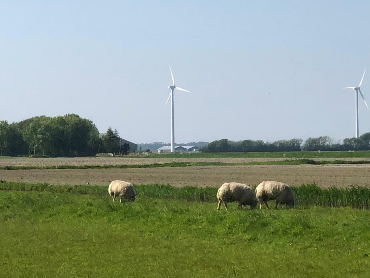 Vila Vogelvrij Burgerbrug Exteriér fotografie